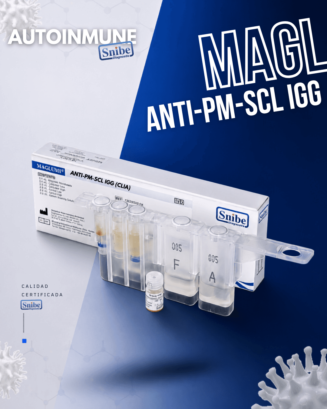 anti-pm-scl-igg-maglumi.png