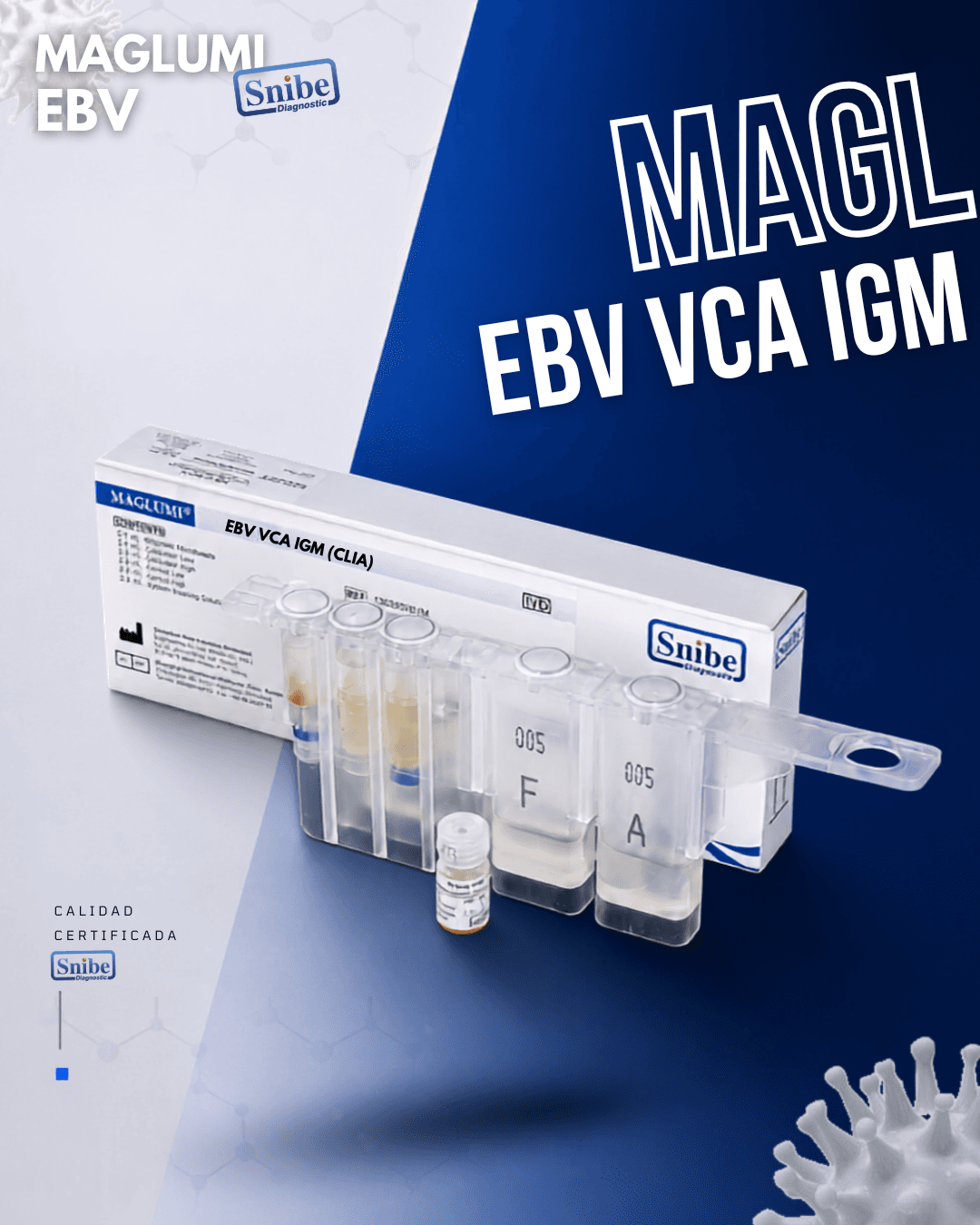 EBV VCA IgM