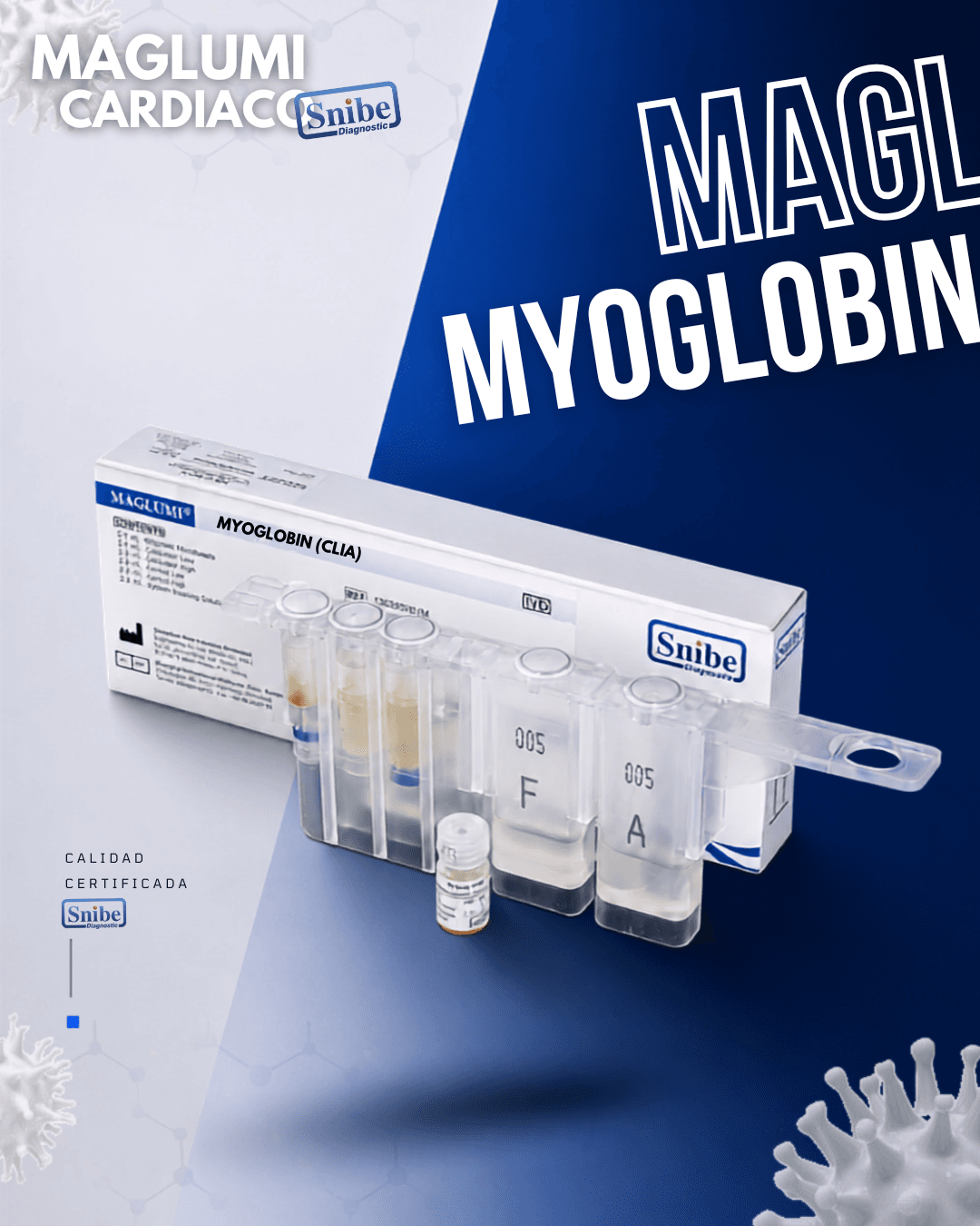 myoglobin-maglumi.png