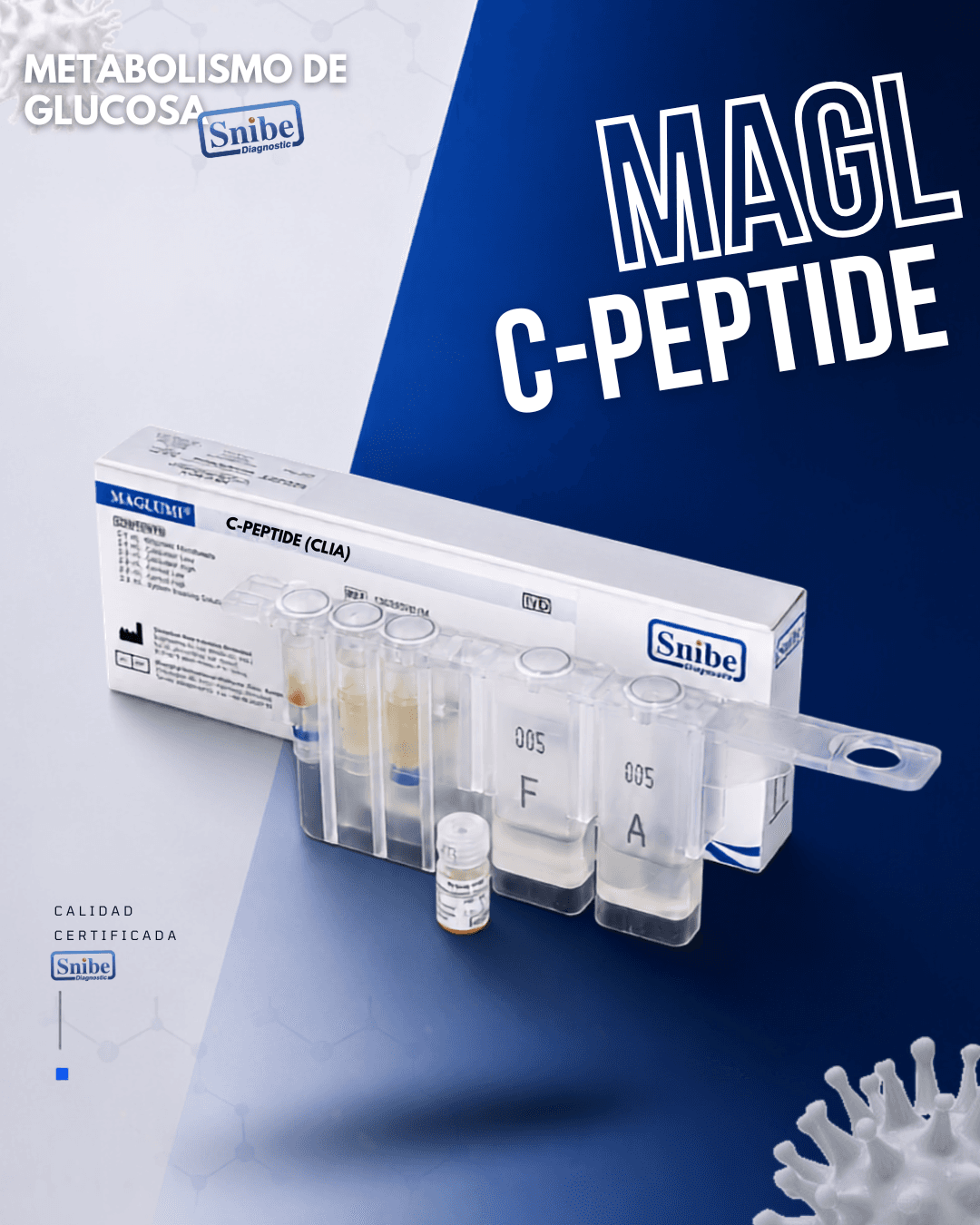 c-peptide-maglumi.png