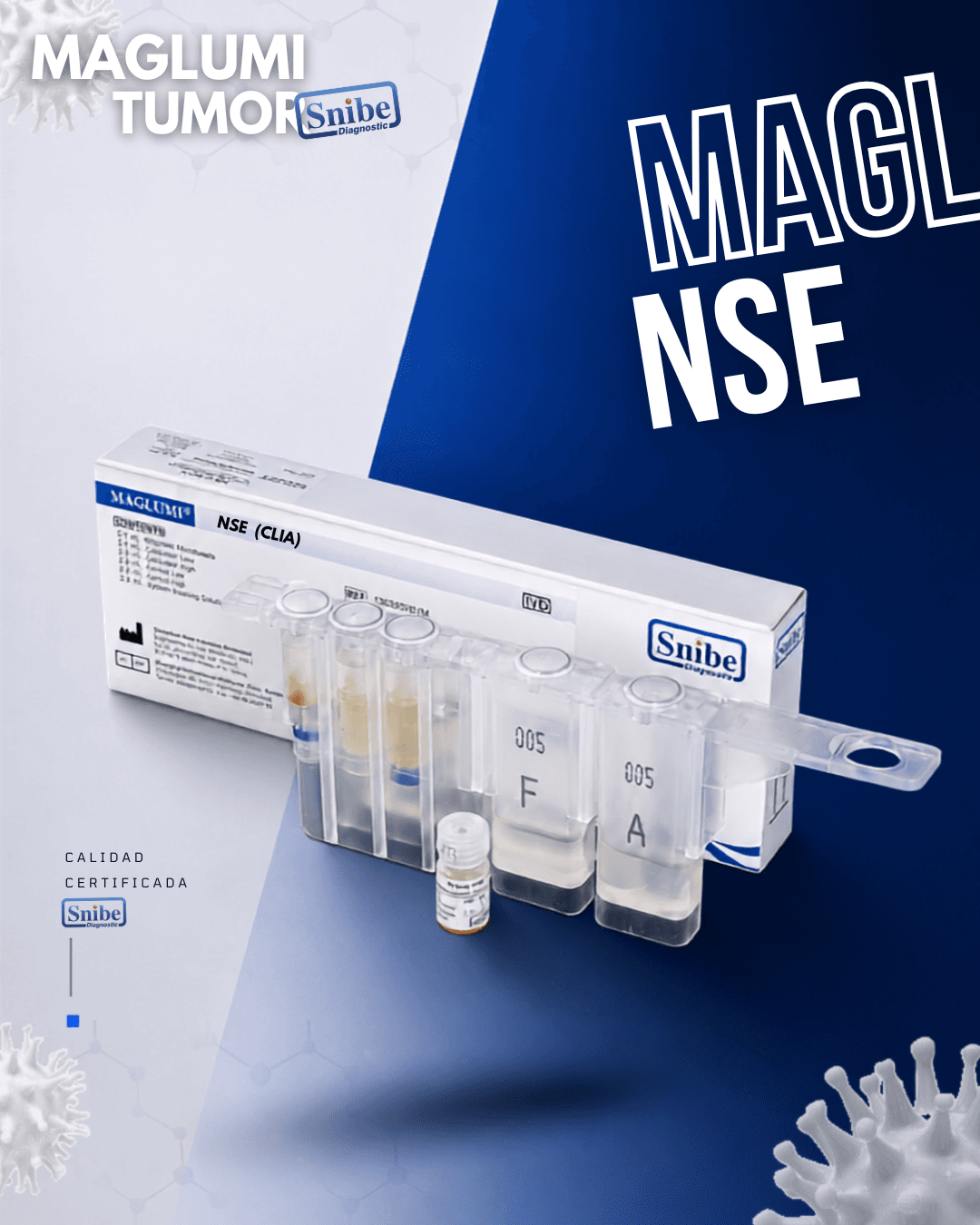 nse-maglumi.png