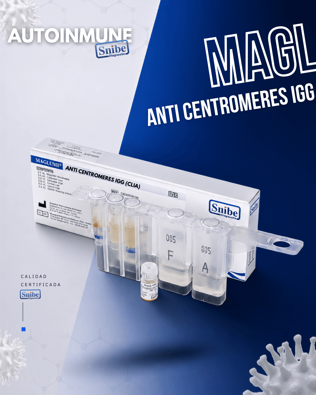 anti-centromeres-igg-maglumi.png