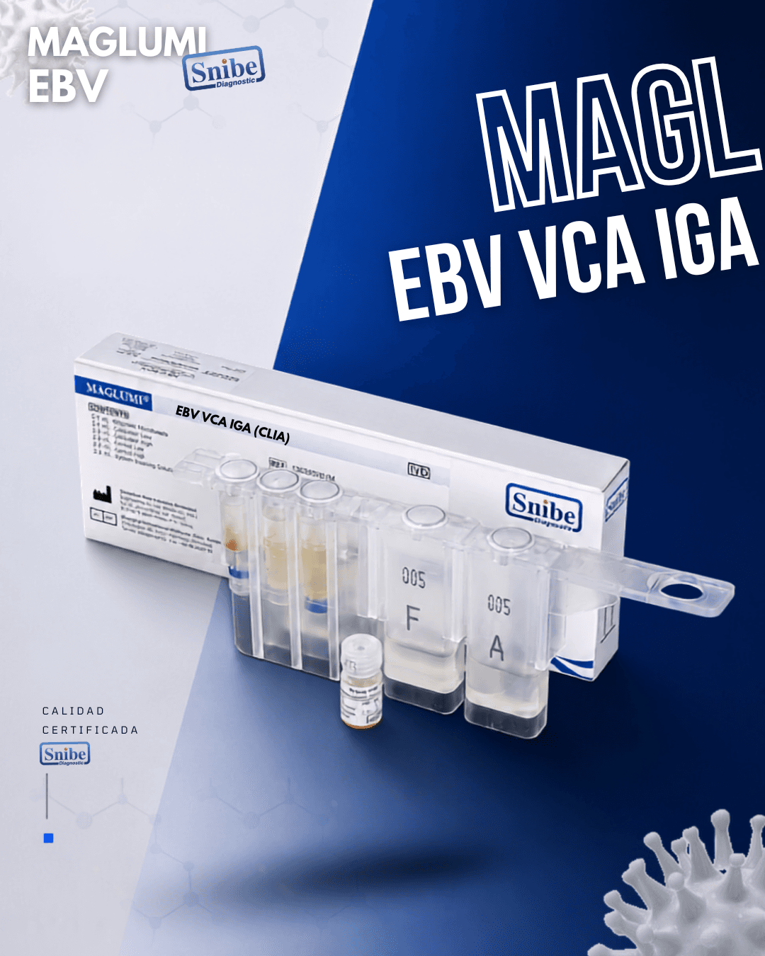 ebv-vca-iga-maglumi.png