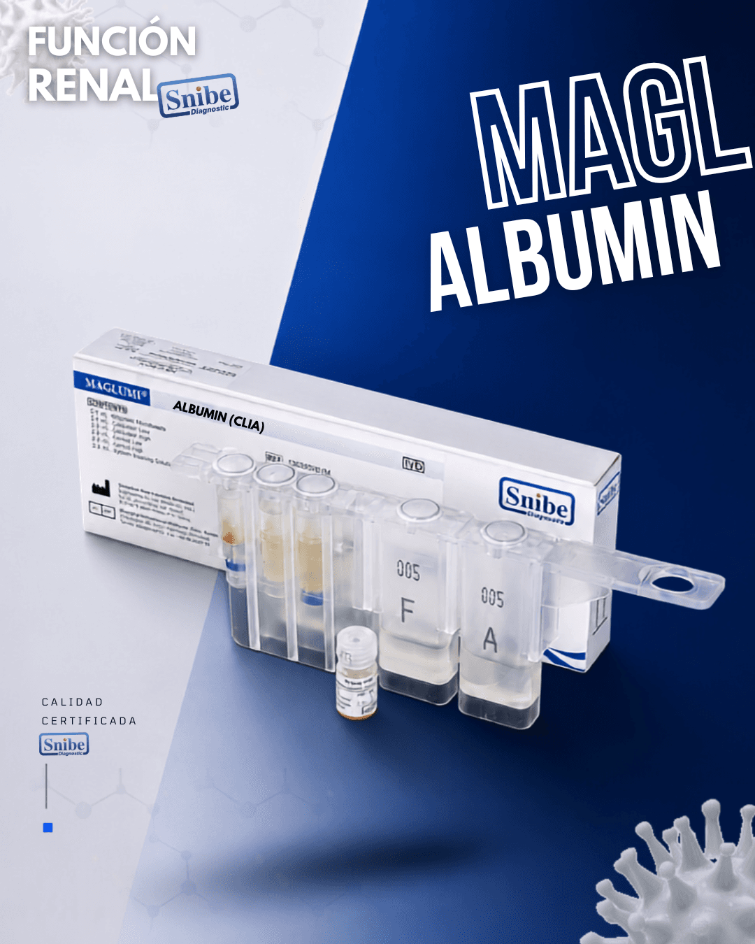 albumin-maglumi.png