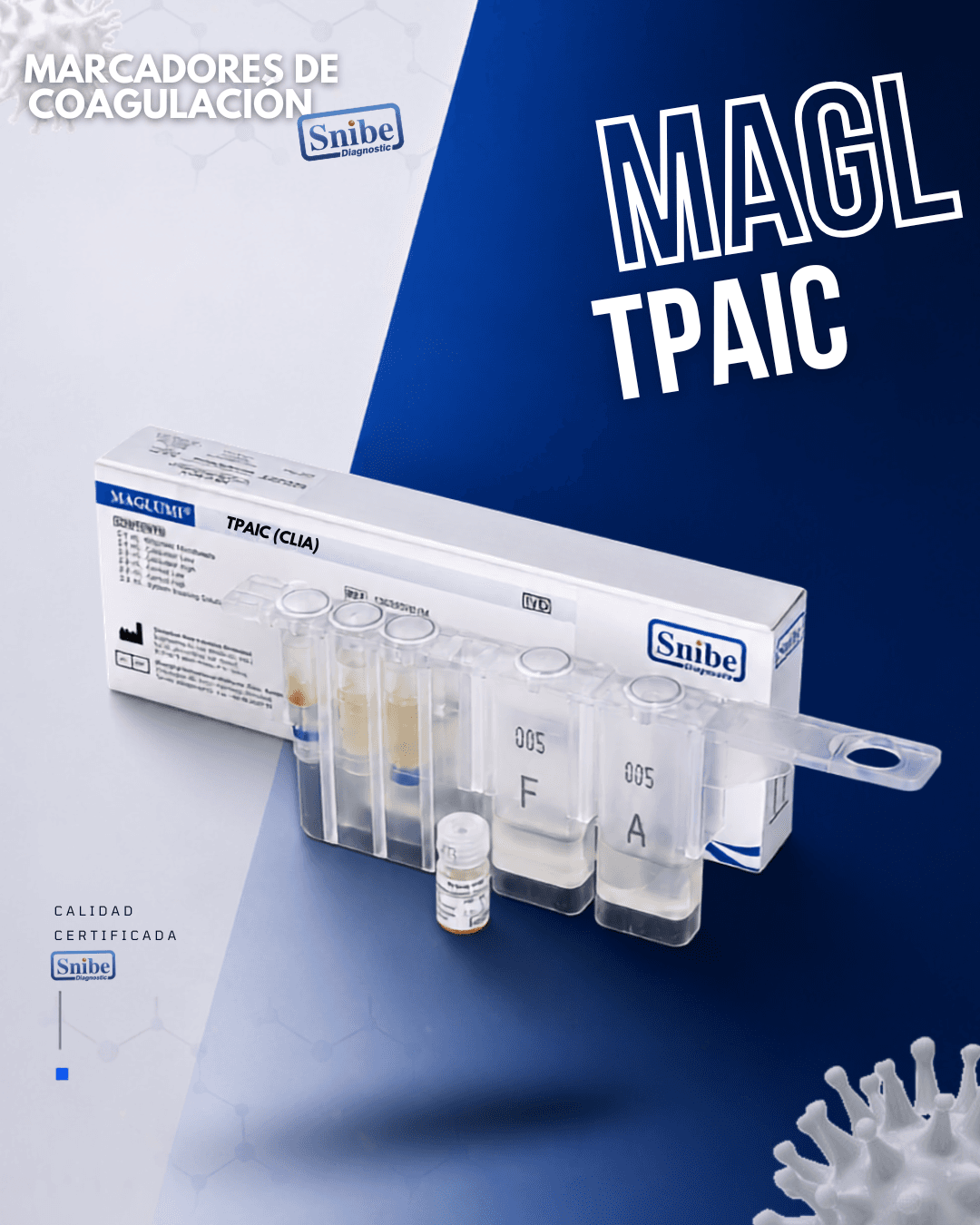 tpaic-maglumi.png