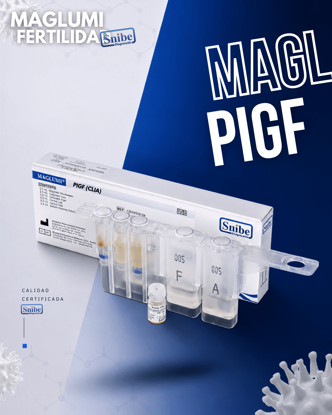 pigf-maglumi.png