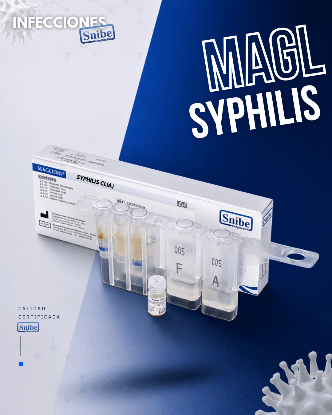 syphilis-maglumi.png