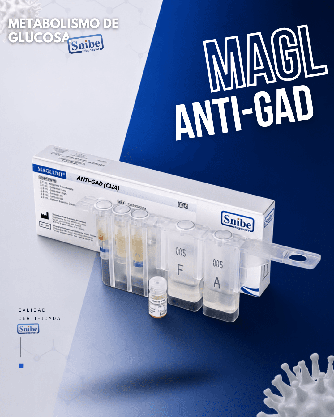 anti-gad-gad-65-maglumi.png