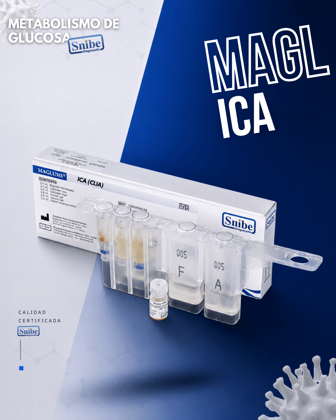 ica-maglumi.png