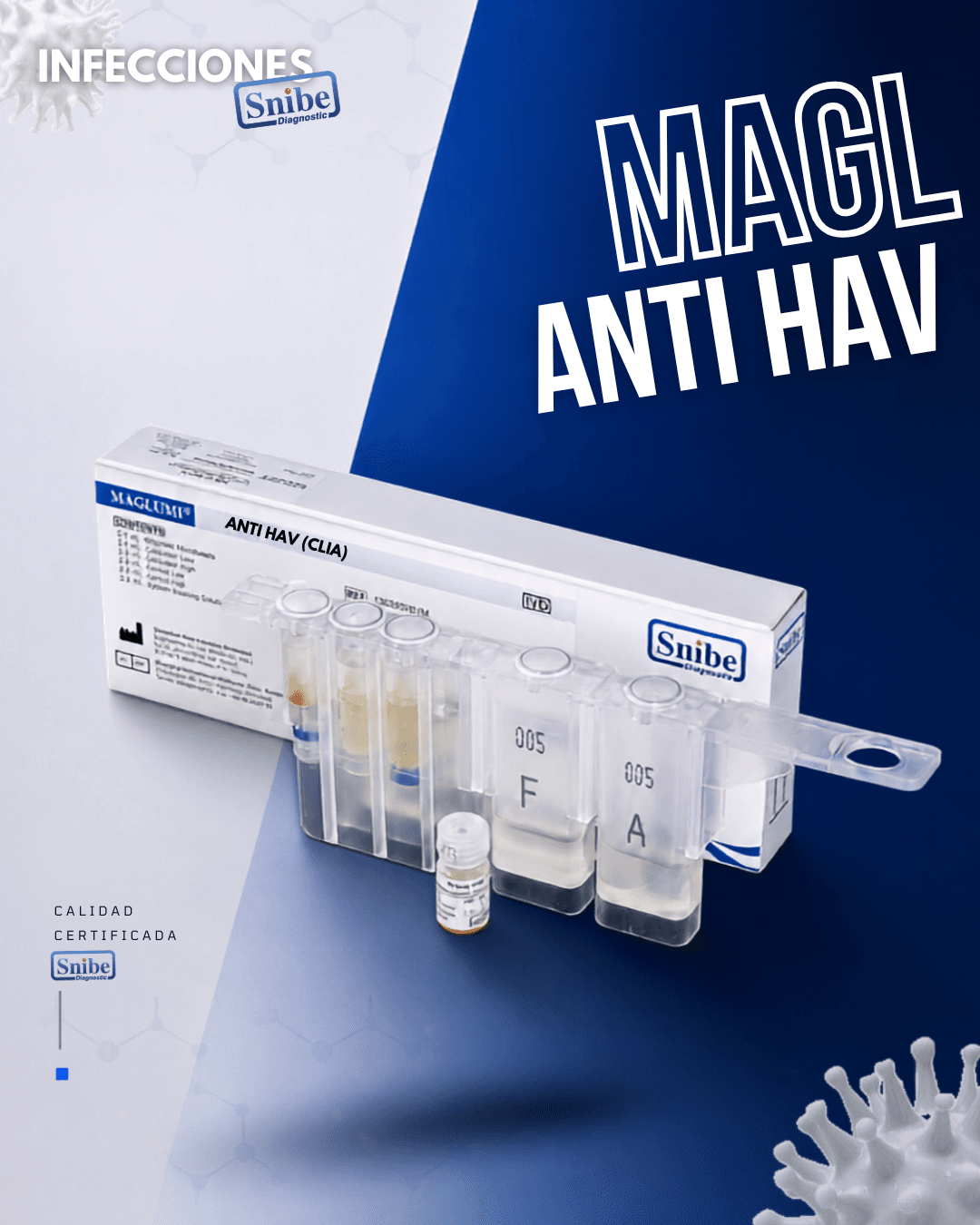 anti-hav-maglumi.png