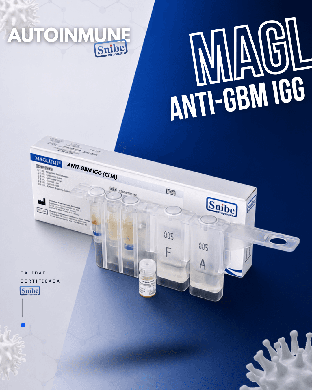 anti-gbm-igg-maglumi.png