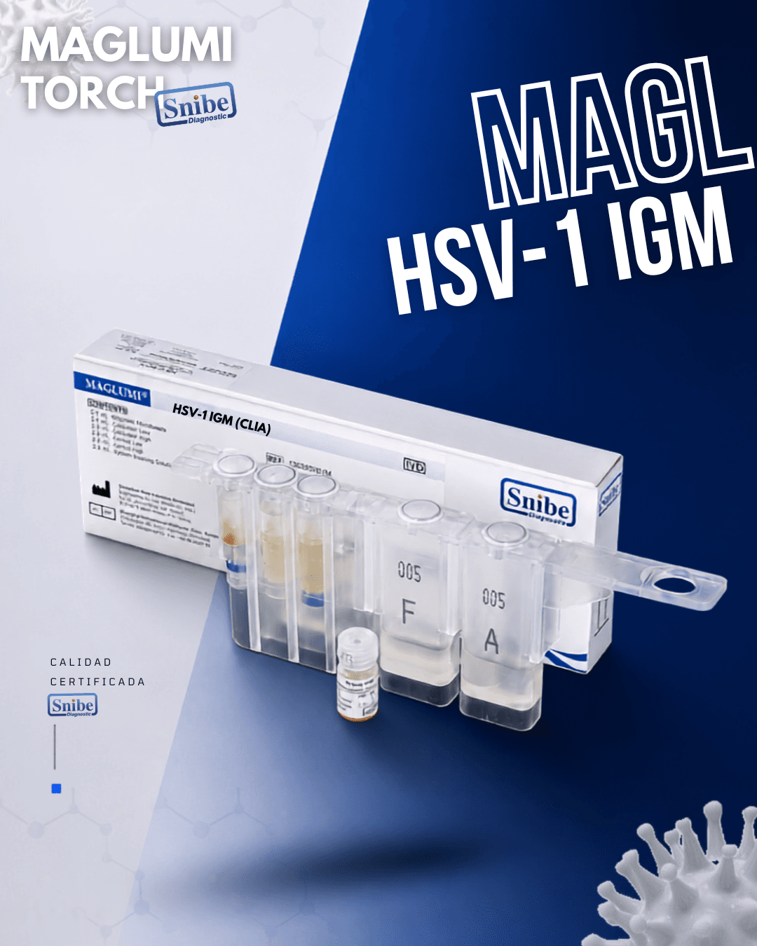 hsv-1-igm-maglumi.png