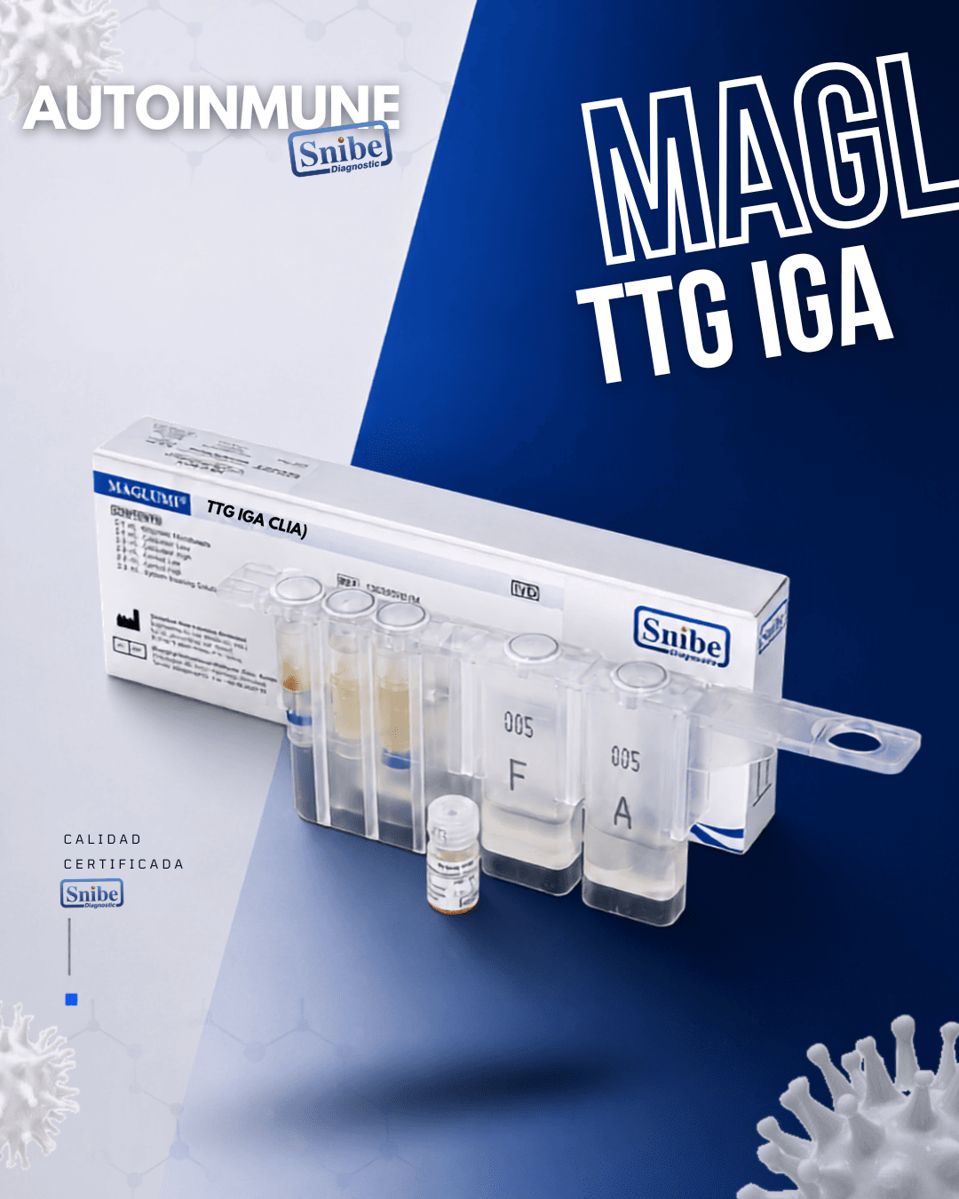 ttg-iga-maglumi.png