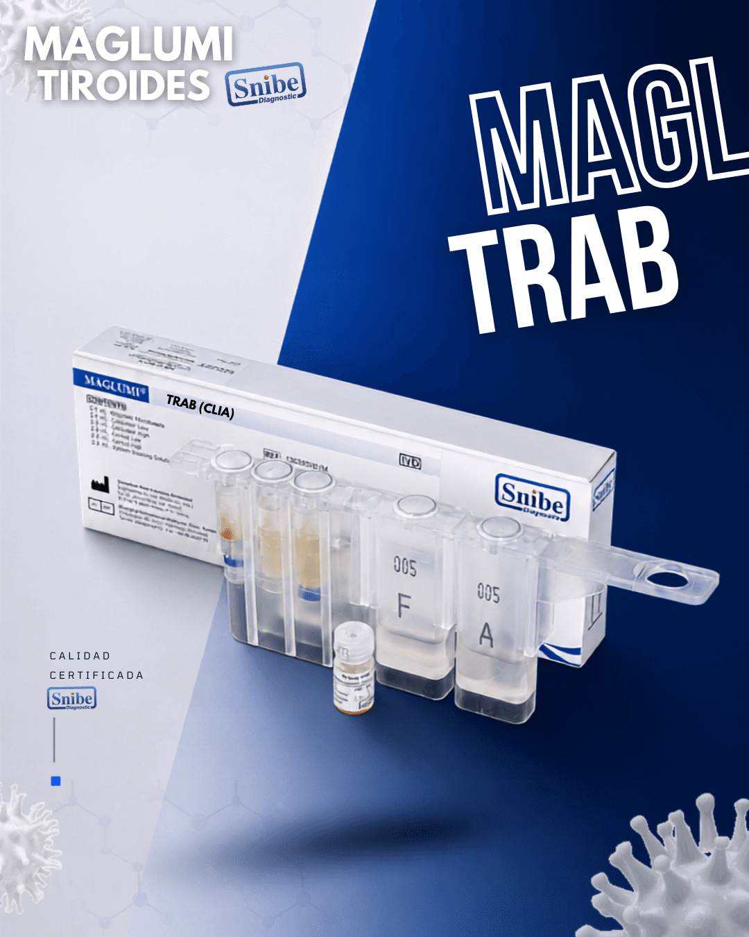 trab-maglumi.png