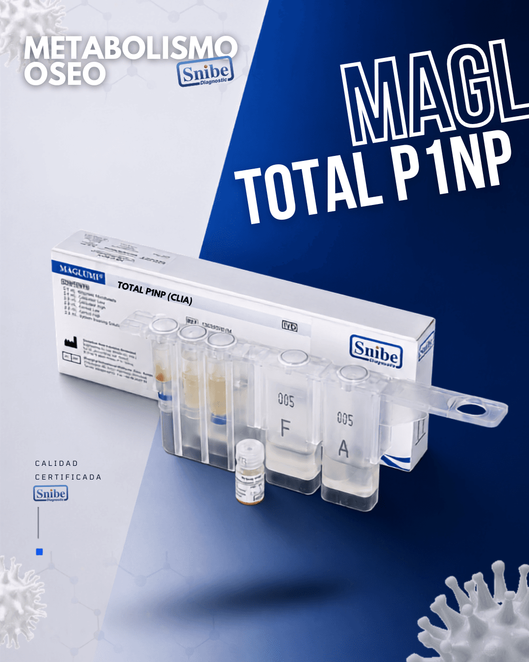 total-p1np.png