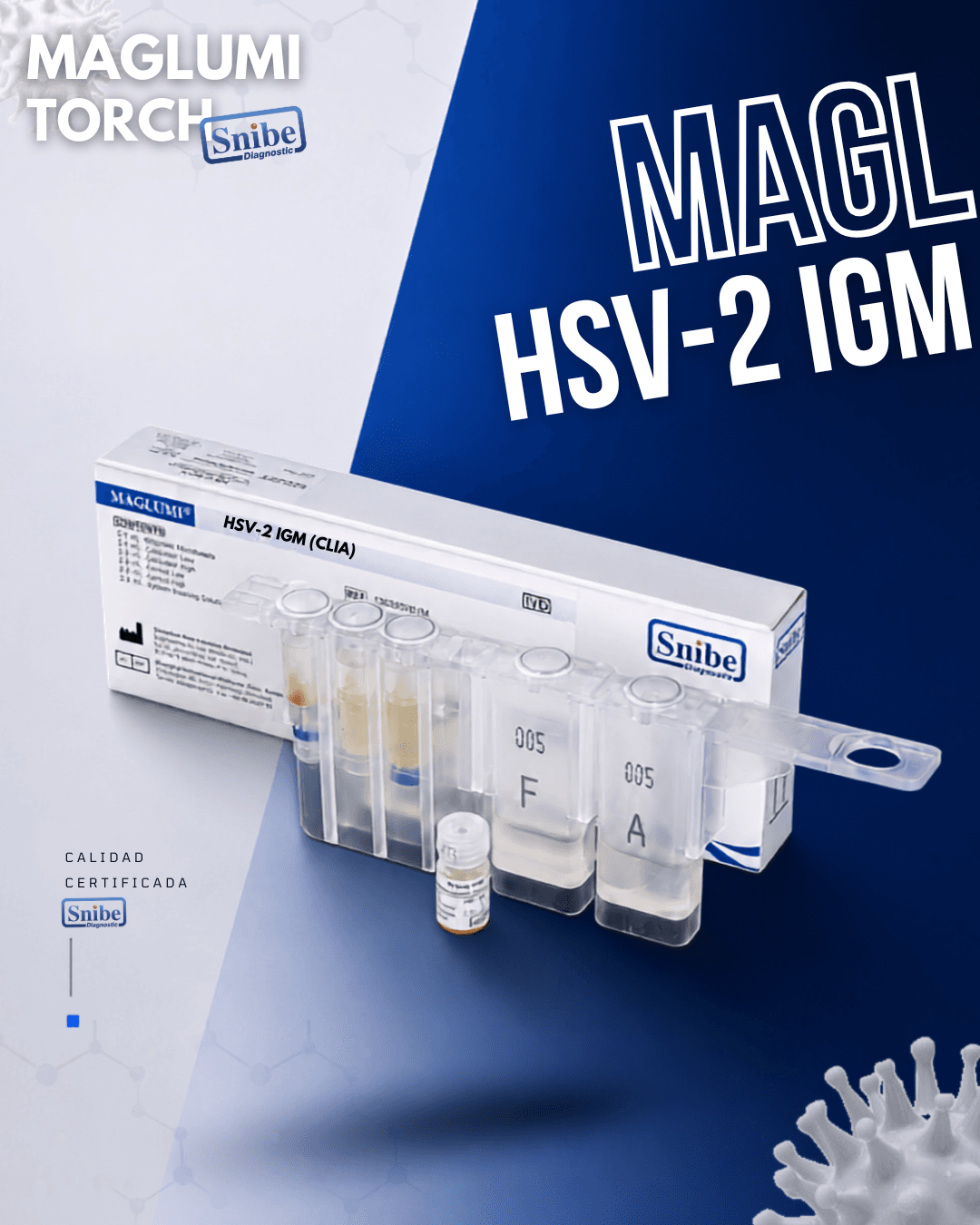 hsv-2-igm-maglumi.png