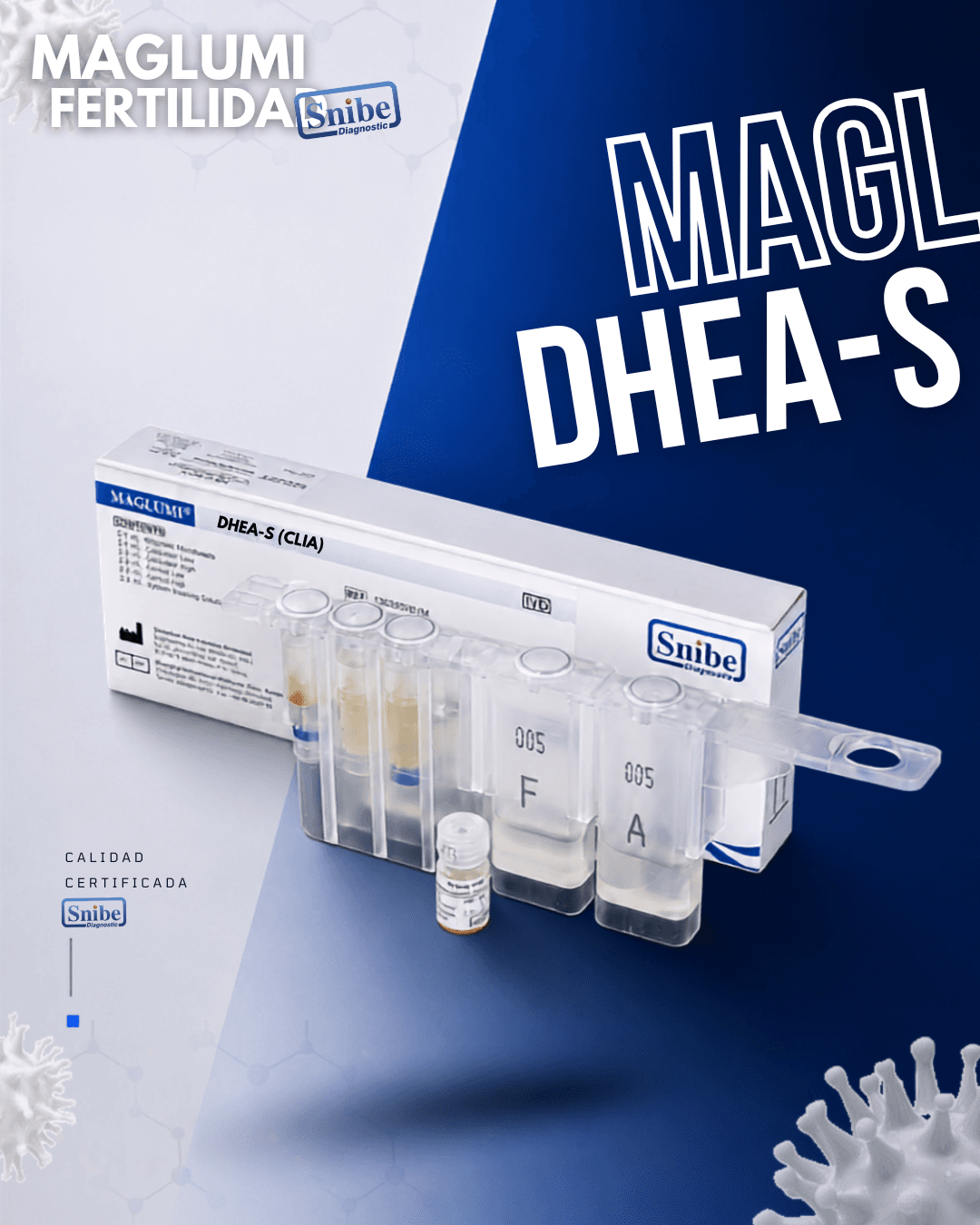 dhea-s-maglumi.png