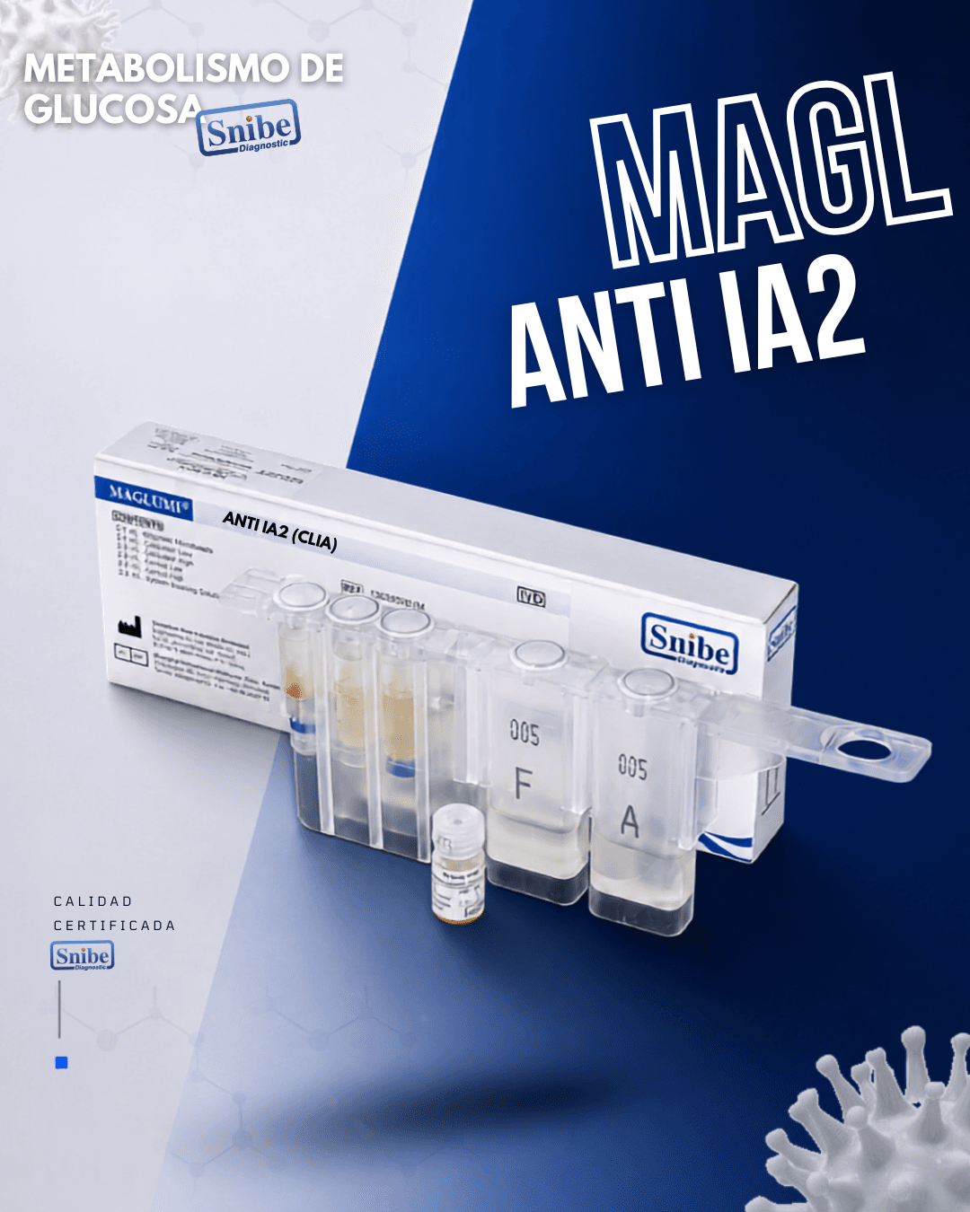 anti-ia2-clia-maglumi.png