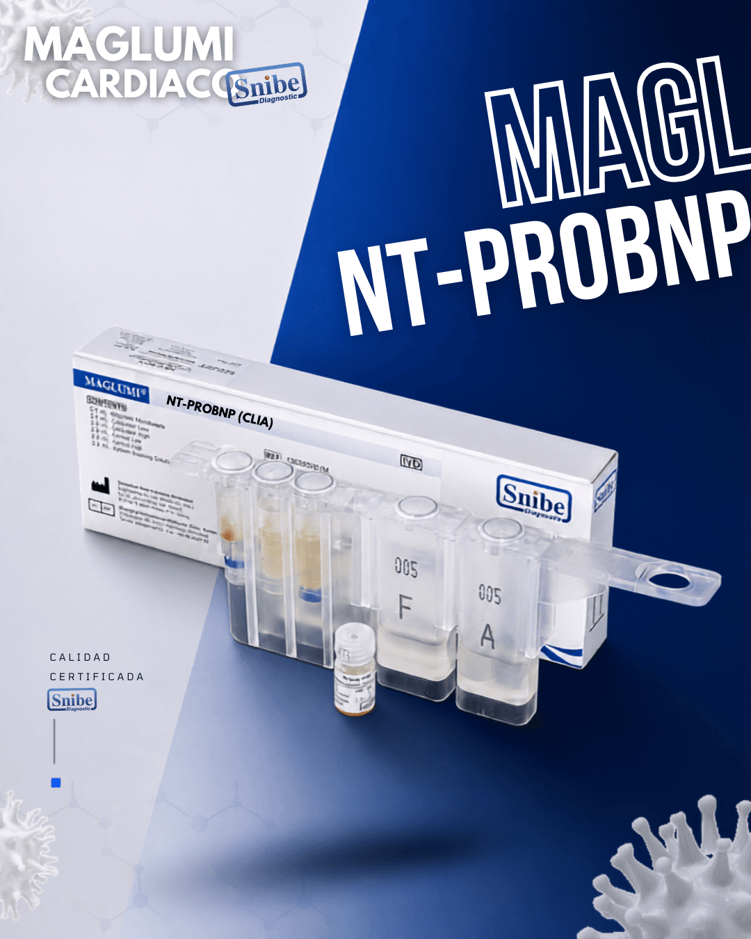 nt-probnp-maglumi.png