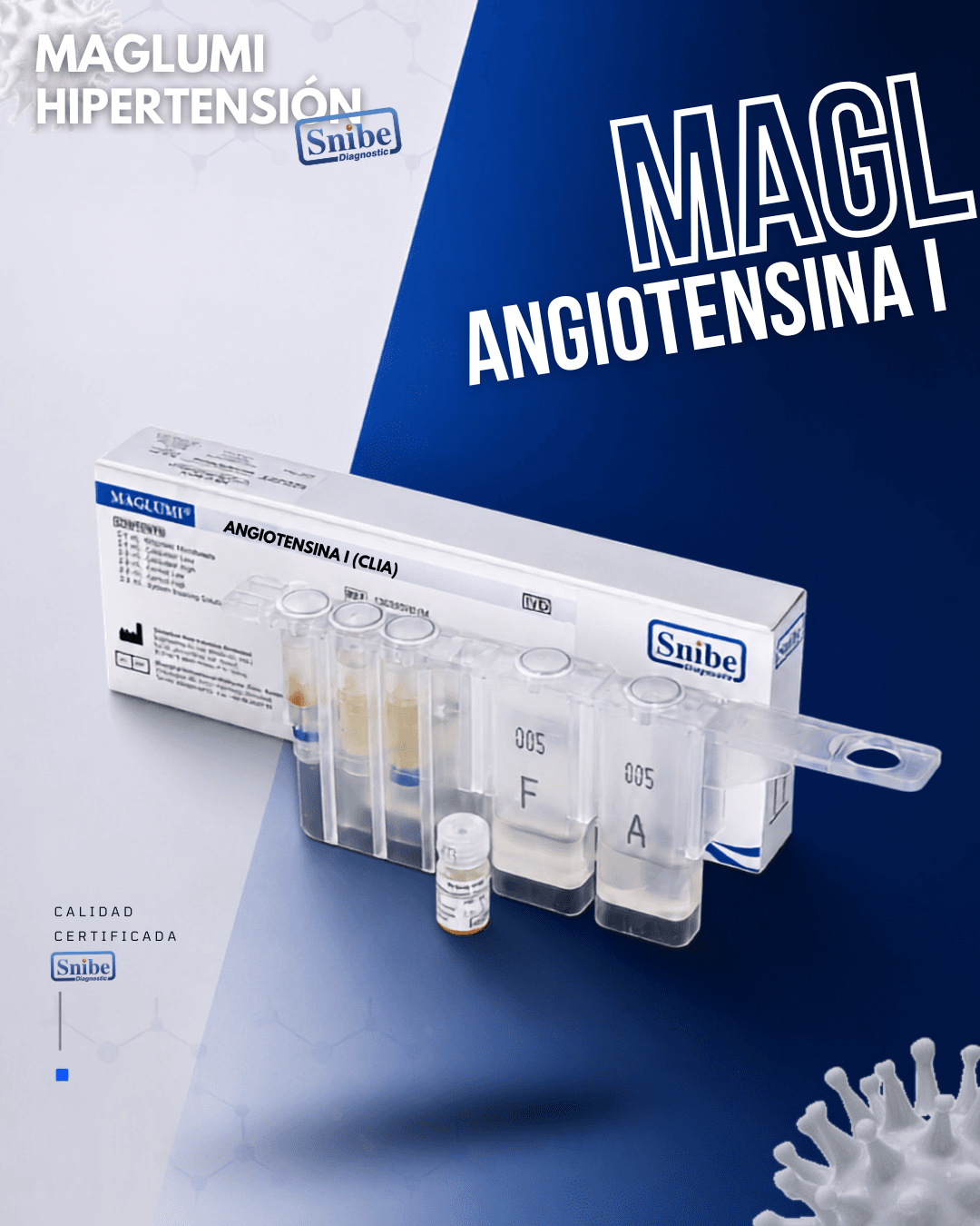 angiostesina-i-maglumi.png