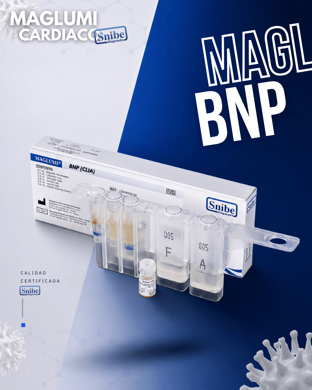 bnp-maglumi.png