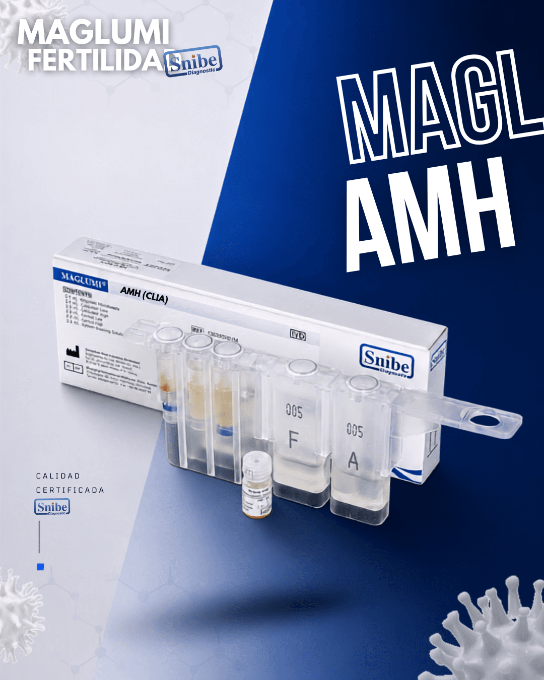 amh-maglumi.png