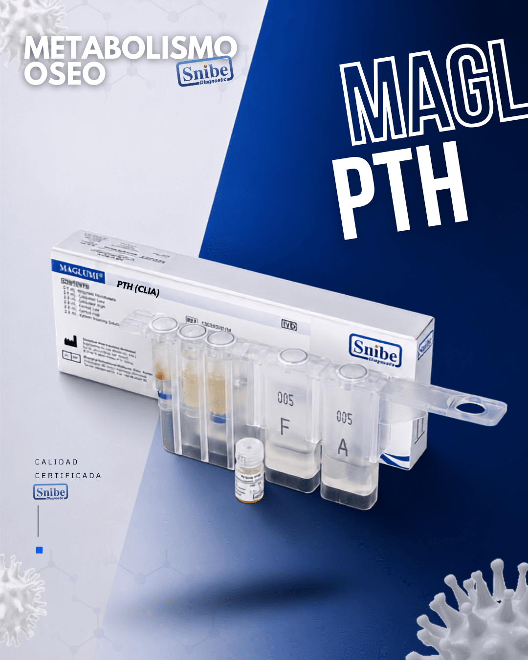 pth-1-84-maglumi.png