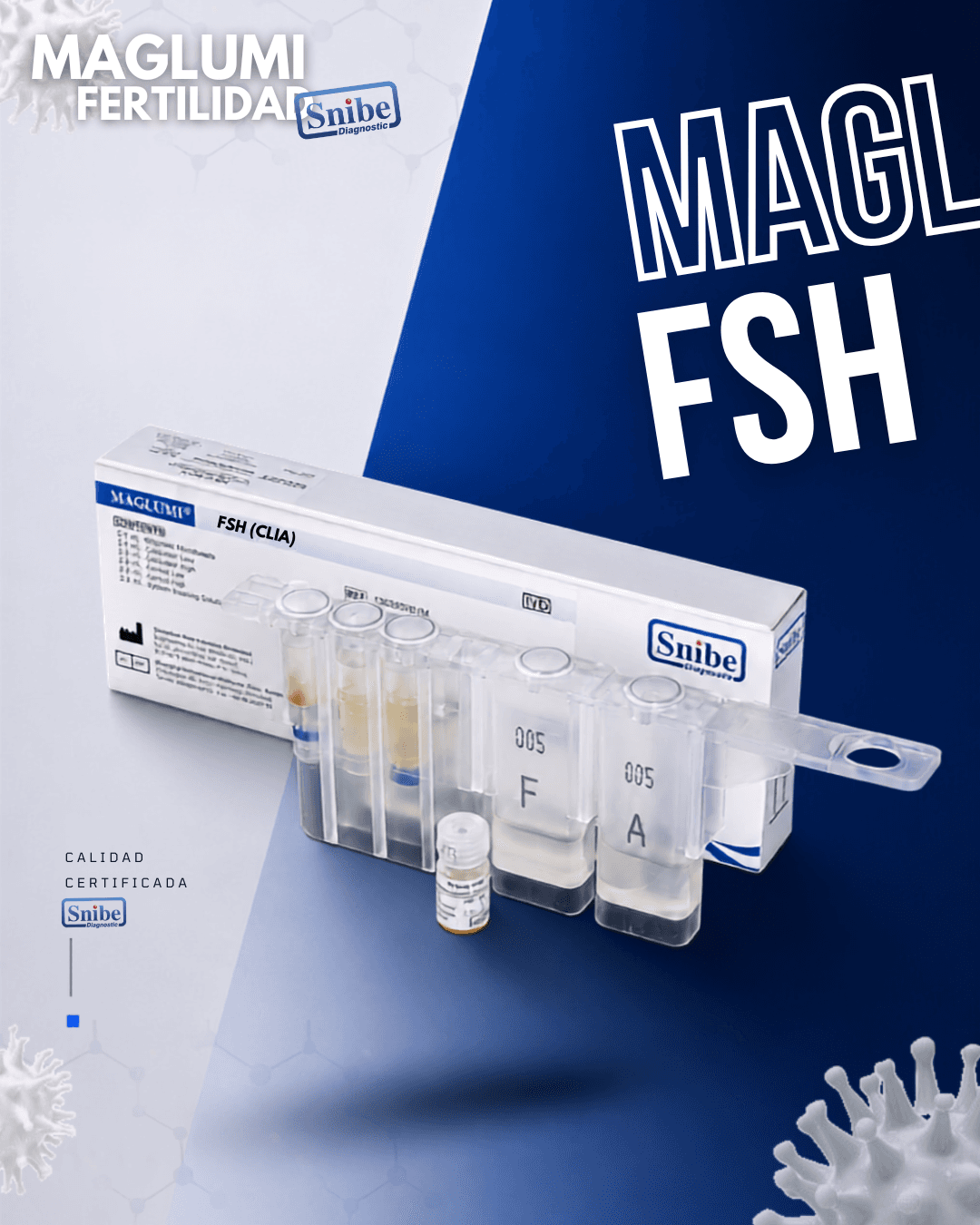 fsh-maglumi.png