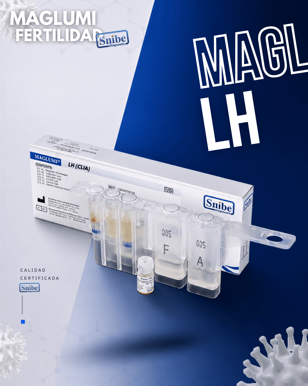 lh-maglumi.png