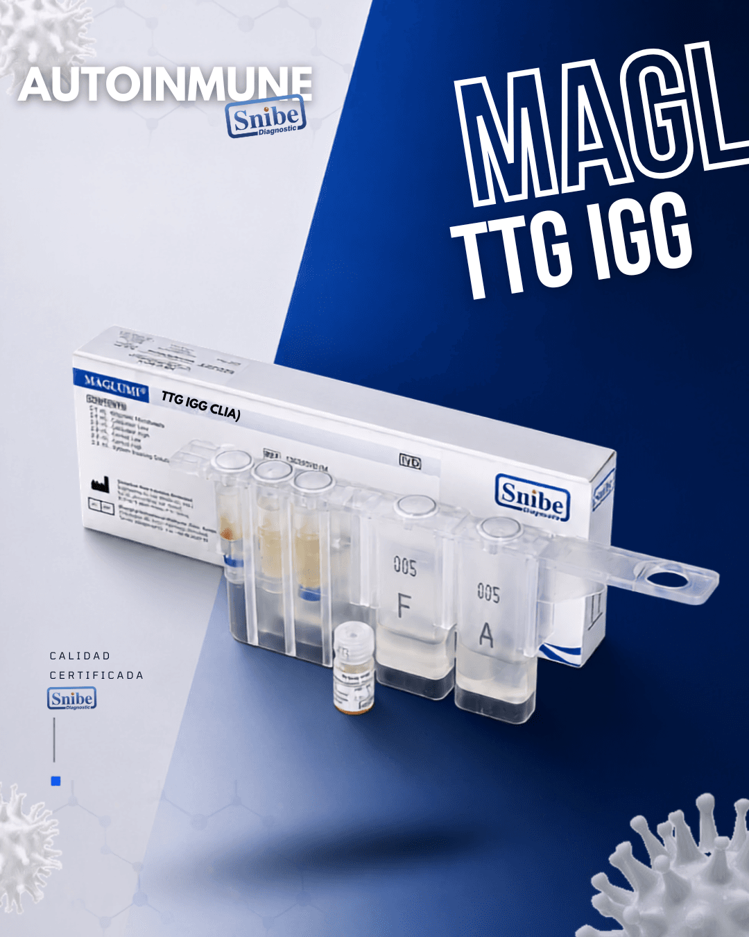 ttg-igg-maglumi.png