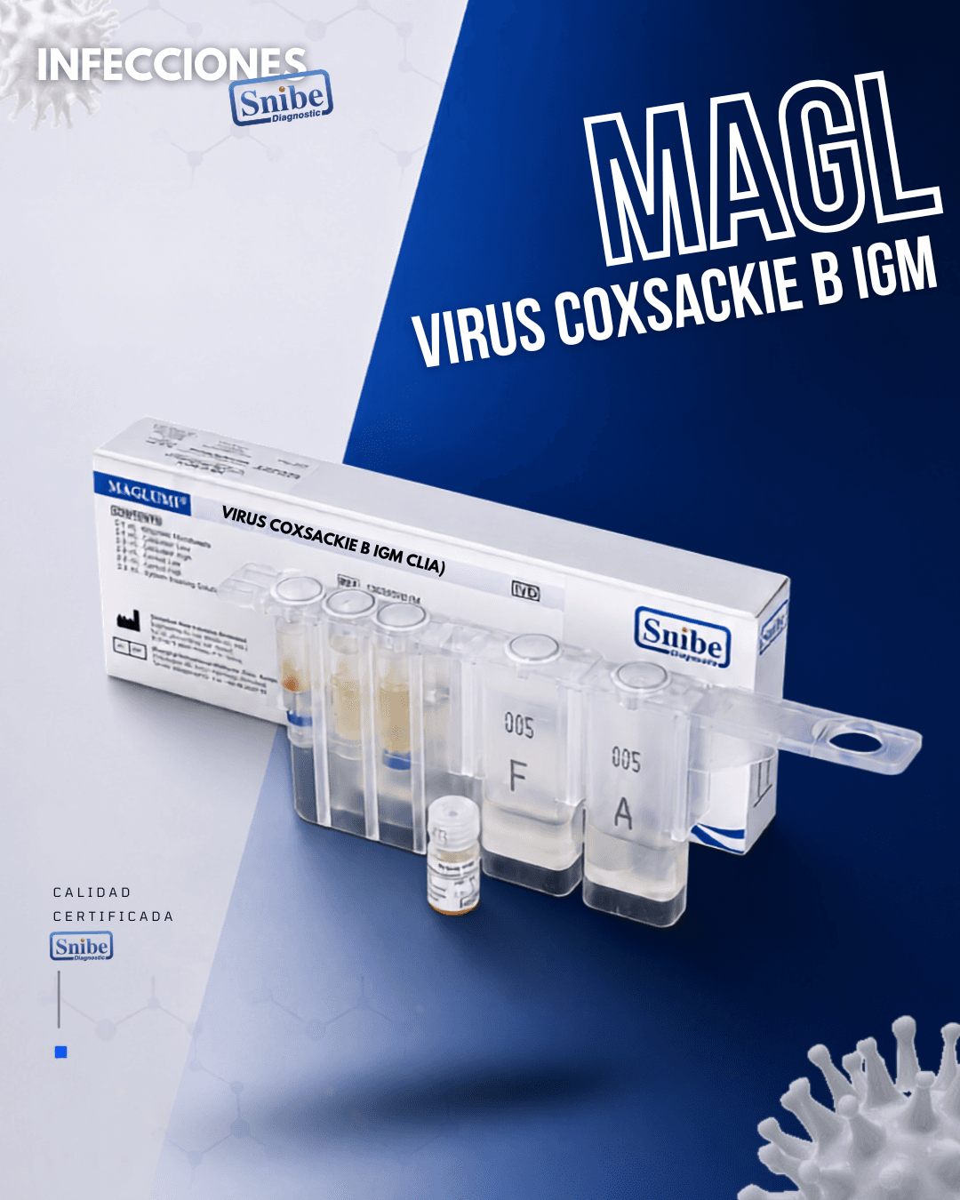 virus-coxsackie-b-igm-maglumi.png