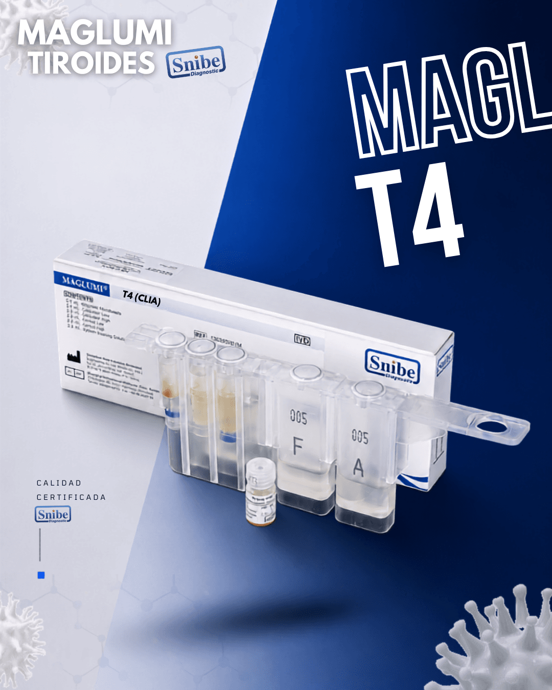 t4-maglumi.png