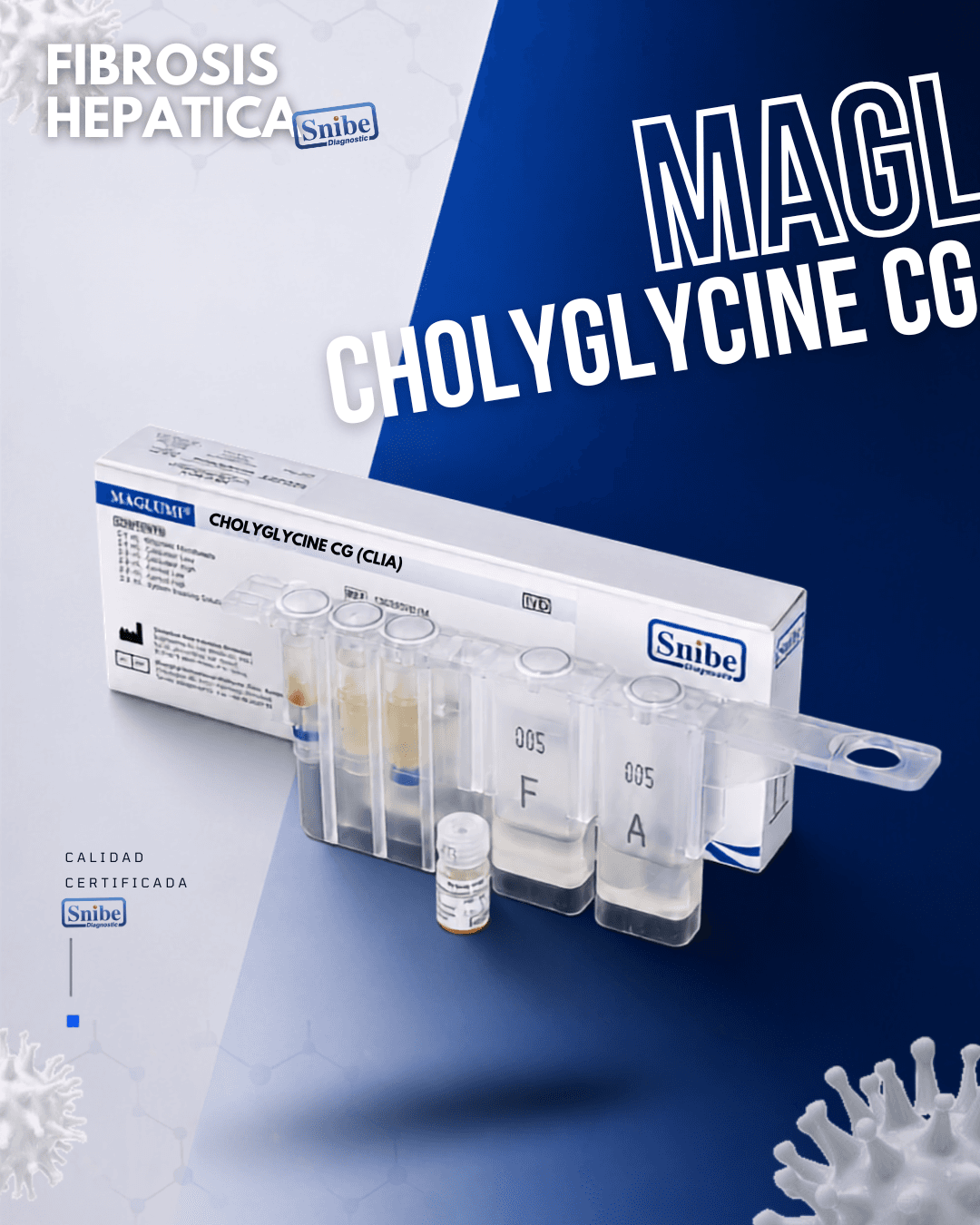 cholylglycine-cg-maglumi.png