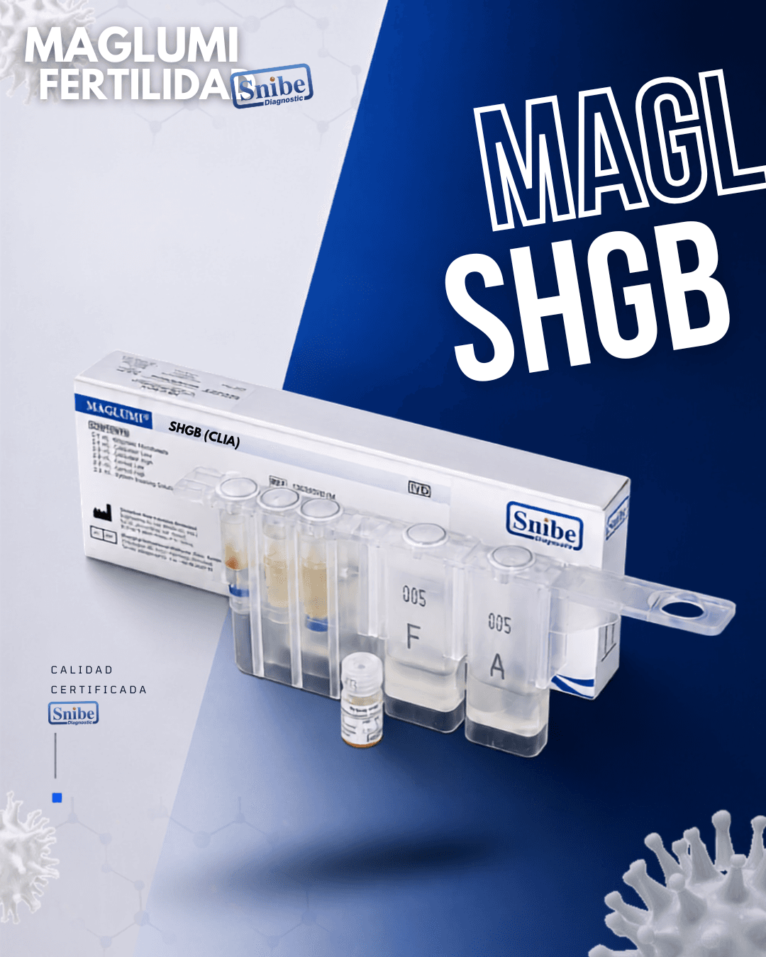 shgb-maglumi.png