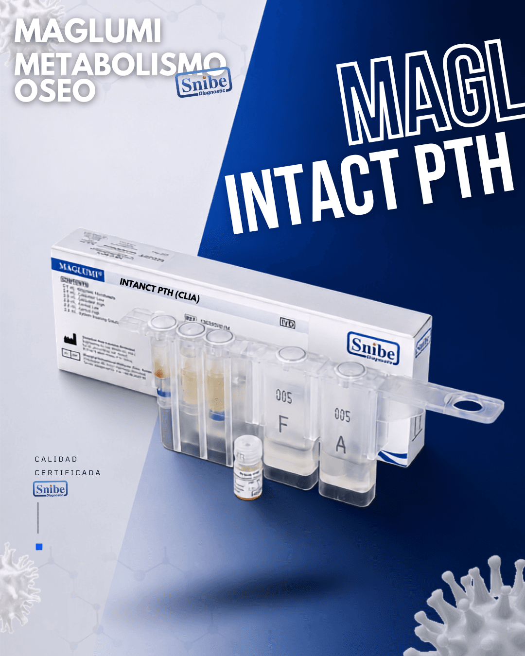 intact-pth-maglumi.png