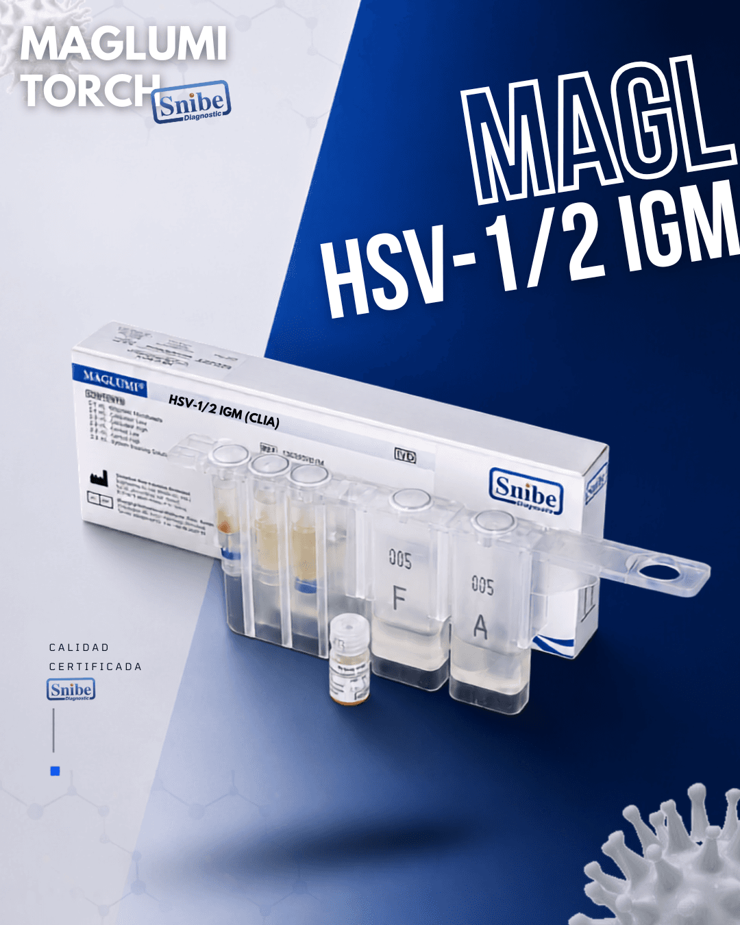 hsv-1-2-igm-maglumi.png
